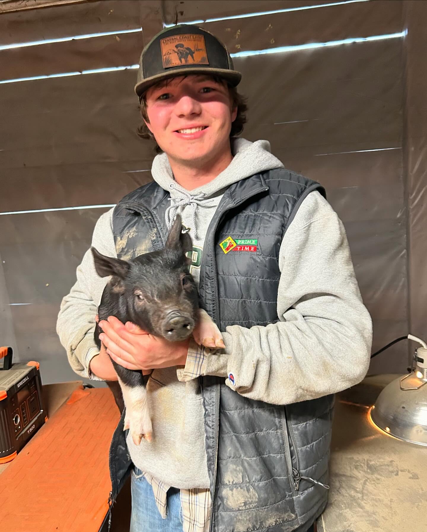 Program highlight